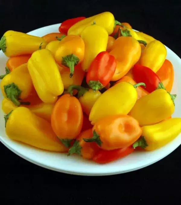 740 Gramm Paprika