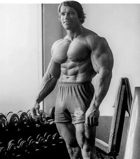 Arnold Schwarzenegger: Der Superstar im Sport hat diesen sehr stark geprägt. Er wurde 6 Mal Mister Olympia, von 1970-75 und 1980