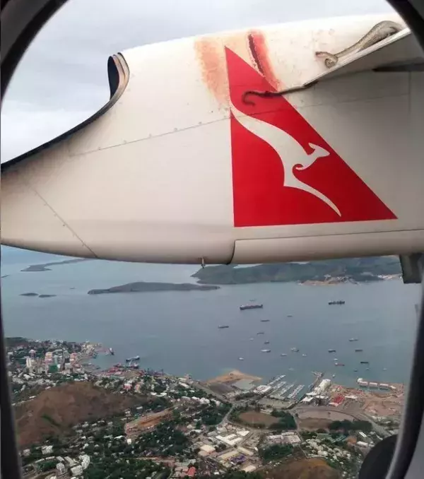 Australische Schlangen sind anscheind sogar dazu fähig, auf einem Flugzeug mitzufliegen