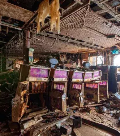 Das ehemalige Casino der Costa Concordia
