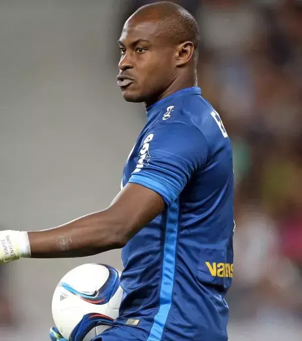 "Das ist mein Job - er muss mir nicht gefallen. Es langweilt mich, anderen beim Spielen zuzusehen. Ich bin kein echter Fußballfan.", Vincent Enyeama