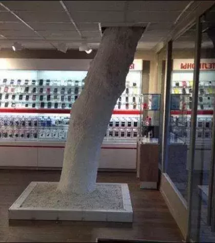 Den Baum im Inneren wollten sie dann doch behalten