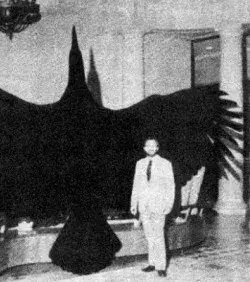 Der Argentavis ist eine Vogelart, die seit ungefähr 6 Millionen Jahren ausgestorben ist. Er war 7 Meter lang und 72 kg schwer. Es handelt sich um den größten fliegenden Vogel aller Zeiten