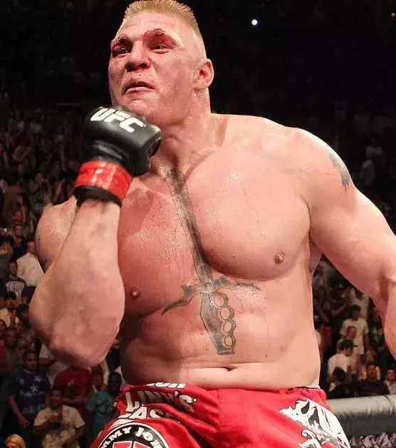 Der WWE-Star Brock Lesnar war als Ringer erfolgreich, bevor er mit dem Wrestling und der MMA anfing. Im Oktagon tat er alles, um seine Gegner auf den Boden zu locken und diesen Vorteil zu nutzen