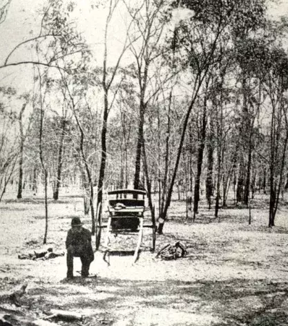 In diesem Wald wurde mehrere Menschen gleichzeitig auf verschiedene Art umgebracht. Nie konnte man den oder die Schuldigen finden.