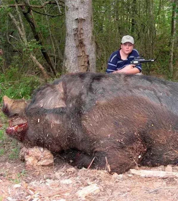 Dieses Wildschwein hält den Rekord für das größte Wildschwein der Welt
