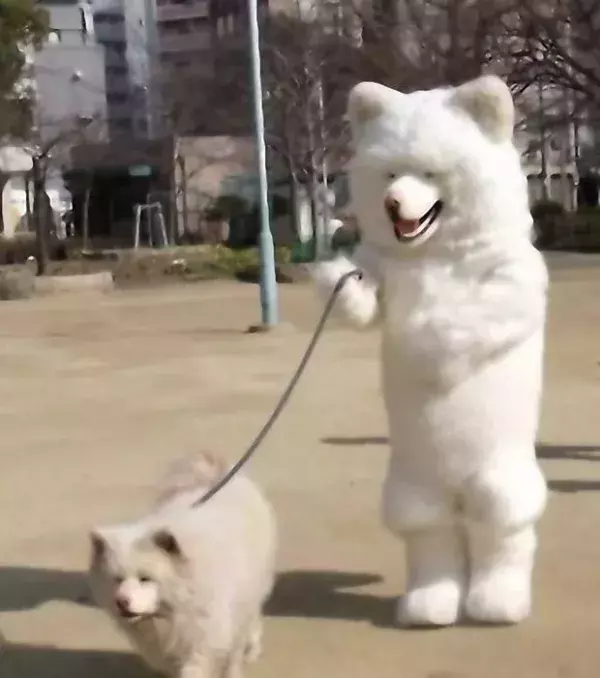 Ein Hund, der einen Hund ausführt