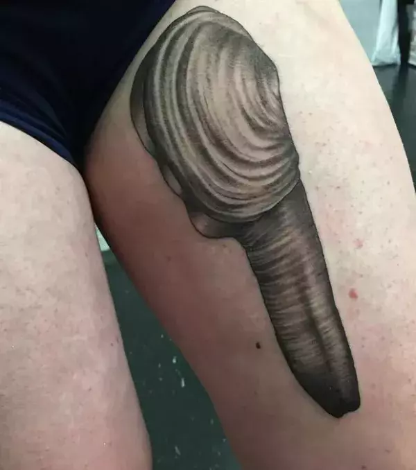 Eine riesige Venusmuschel auf dem Oberschenkel