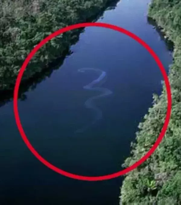 Erfrischung im Fluss gefällig?