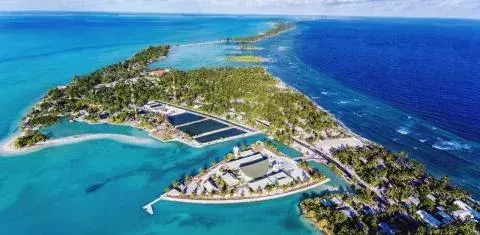 Covid-19-Bezwinger: Kiribati 