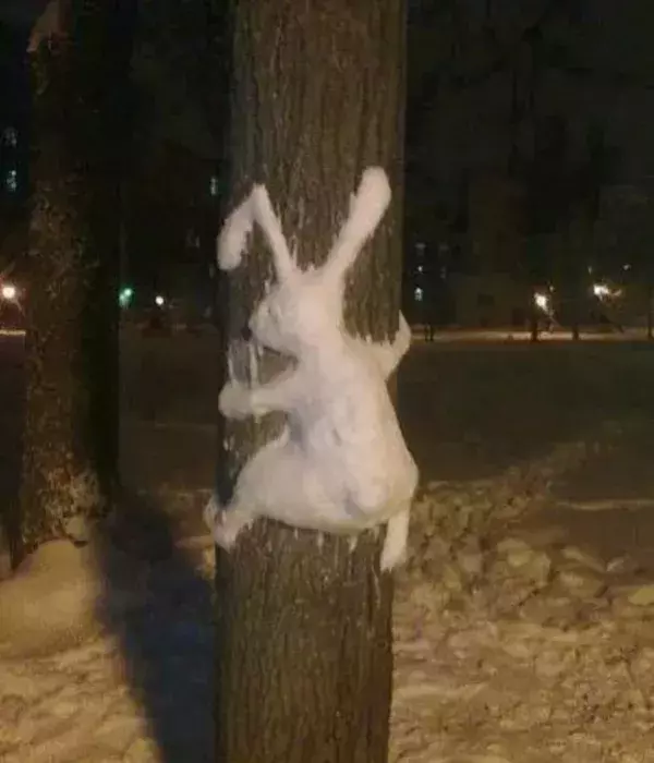 Lustige Schneeskulpturen: Ein Schneehase oder eher ein Angsthase?