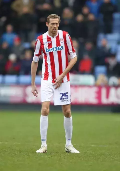 Peter Crouch - Sturm