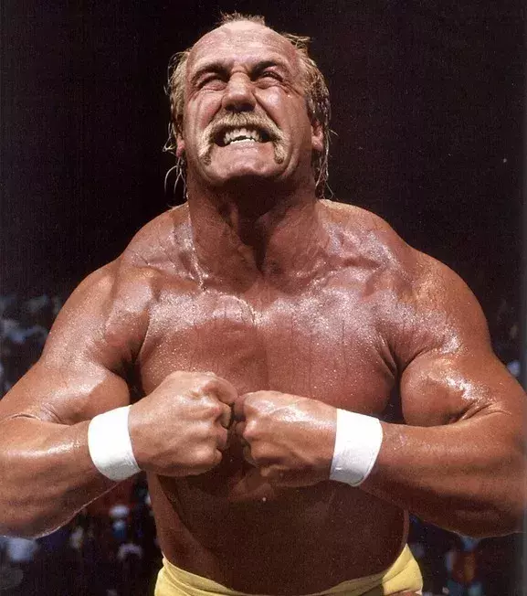 Platz 11: Hulk Hogan