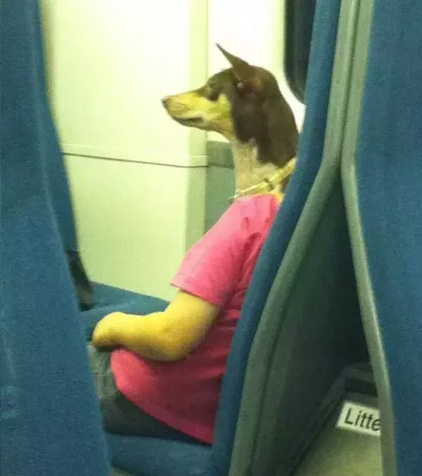 Sie sitzt im Zug und scheint den Kopf eines Hundes zu haben