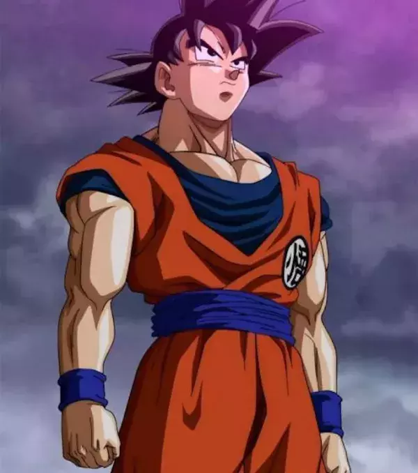 Son Goku: Talentiert, unbesiegbar, fair, doch von den anderen überschattet. Das kann nur einer sein...