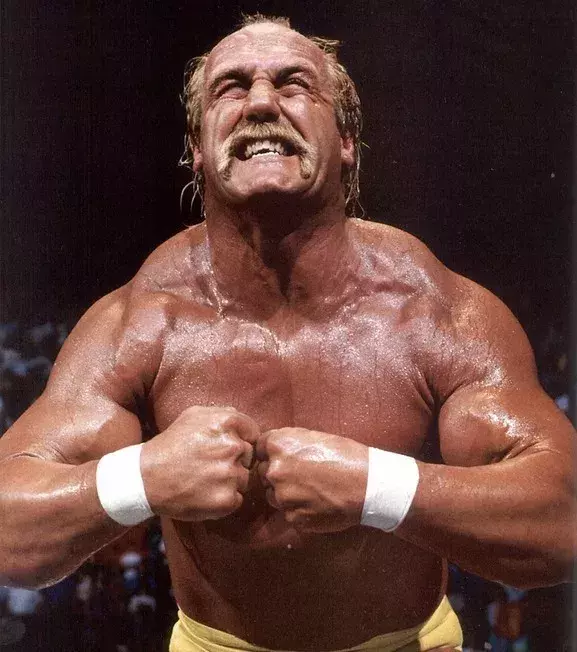 16 - Hulk Hogan