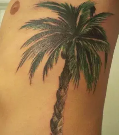 Tattoo einer Palme auf den Rippen eines Mannes