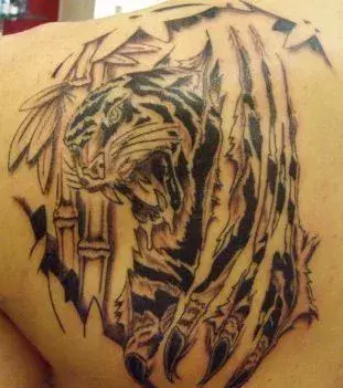 Tiger Tattoo auf dem Schulterblatt von einem Mann