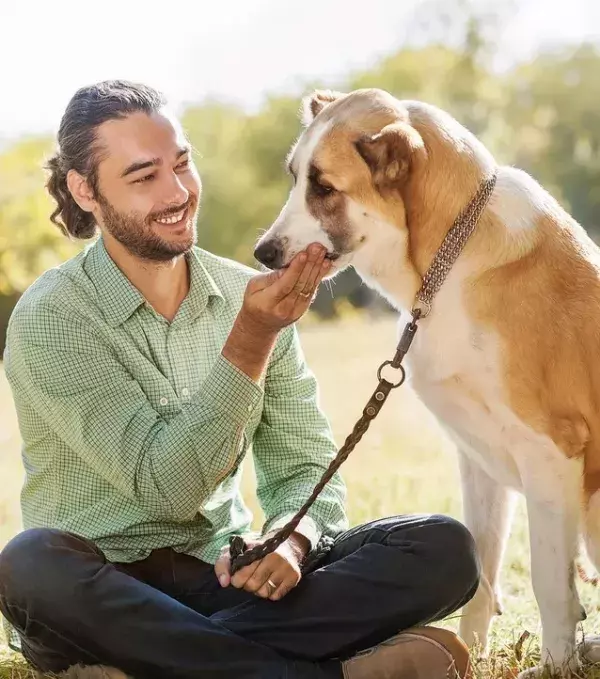Adoptiert einen Hund. Männer mit Hunden neigen stärker zur Nächstenliebe, auch im Bett.
