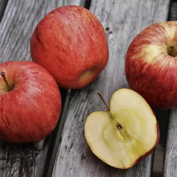 Äpfel kann man das ganze Jahr über genießen