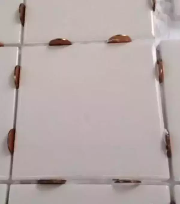 Das Kleingeld kann nützlich sein, um Fliesen zu legen