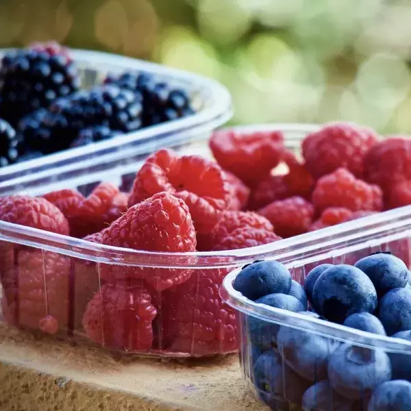 Dunkle Beeren sind reich an Antioxidantien