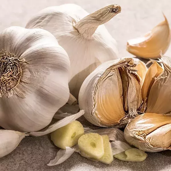 Knoblauch hat viele Vorteile und Möglichkeiten, die Gesundheit zu fördern