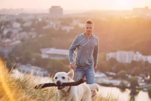 Verbote und Gebote, die Hundebesitzer kennen müssen