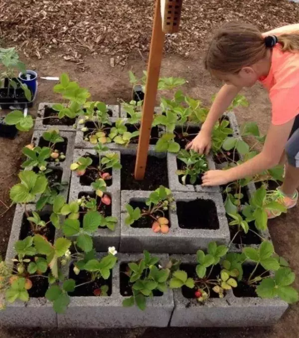 Zum Anlegen von Gartenbeeten mit praktischen Abgrenzungen