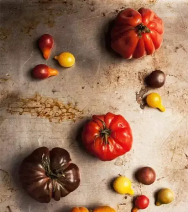 Tomaten: enthalten Lykopin, das ein idealer Antioxidans ist