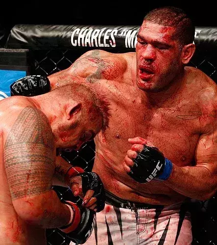 UFC Fight Night 33: Mark Hunt vs. Antonio Silva I