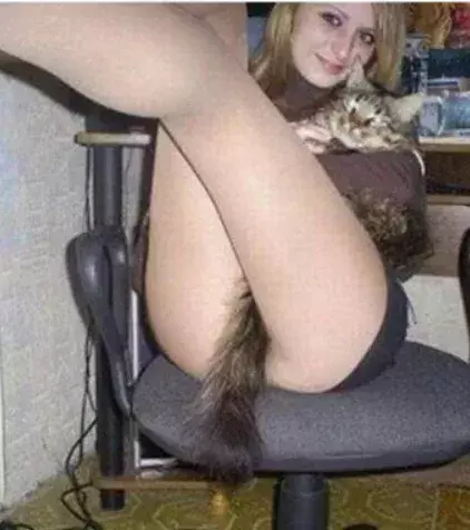 Was für eine schöne Katze ...
