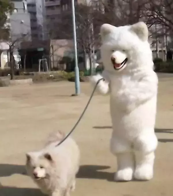 Wenn Hund und Herrchen sich zum Verwechseln ähnlich sehen...