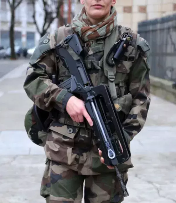 Widder: Perfekt für das Militär, da sie sehr dynamisch und hartnäckig sind