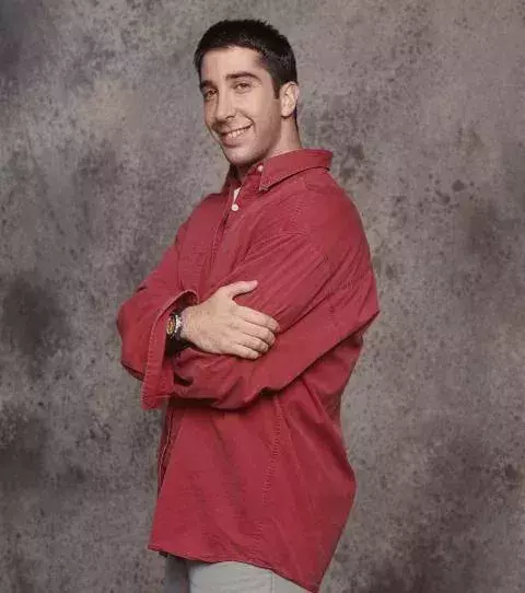 David Schwimmer alias Ross Geller