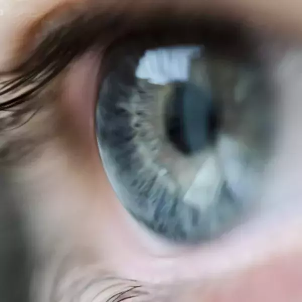 8. Die Semilunarklappen im Auge