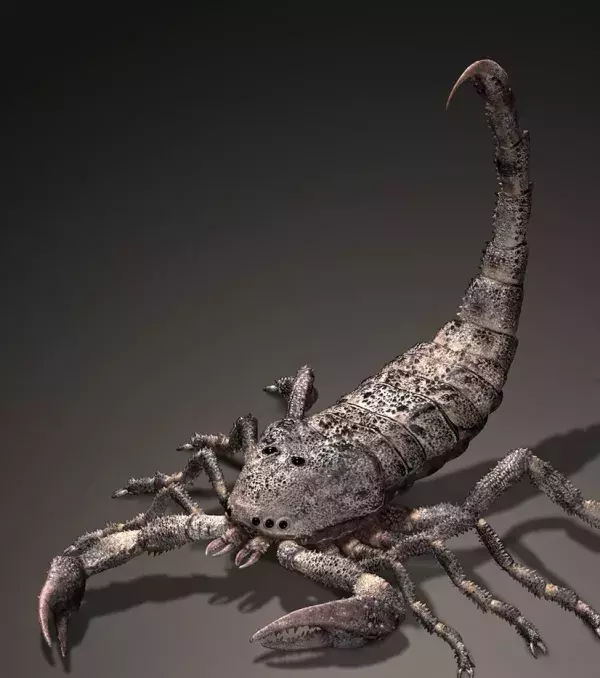 Brontoscorpio: Dieser Meeresskorpion hat vor 420 Millionen Jahren gelebt. Er war unfassbare 90 Zentimeter lang.
