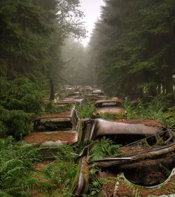 Dieser Auto-Friedhof befindet sich in Belgien