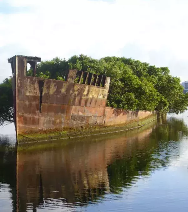 Dieses Schiff ist 102 Jahre alt. Es wurde bei Sydney, in Australien, zurückgelassen