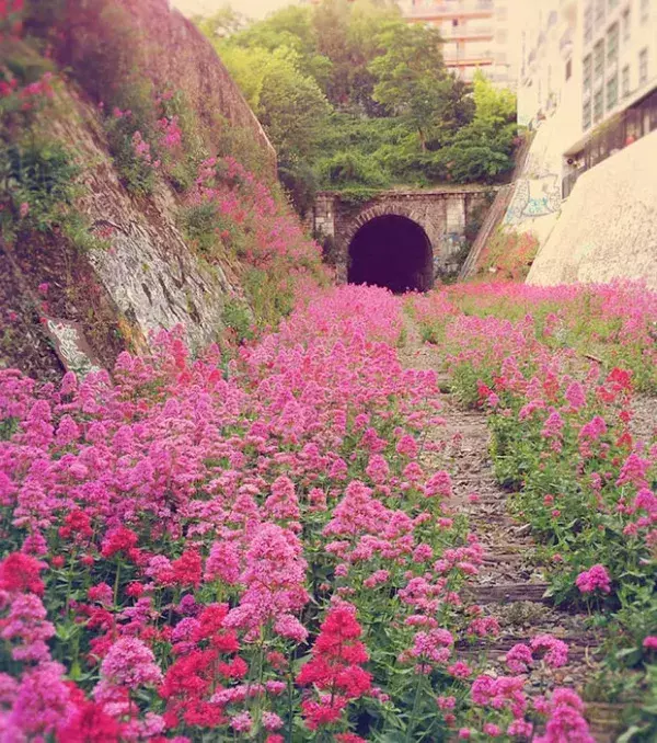 Ein aufgegebenes Eisenbahngleis in Paris