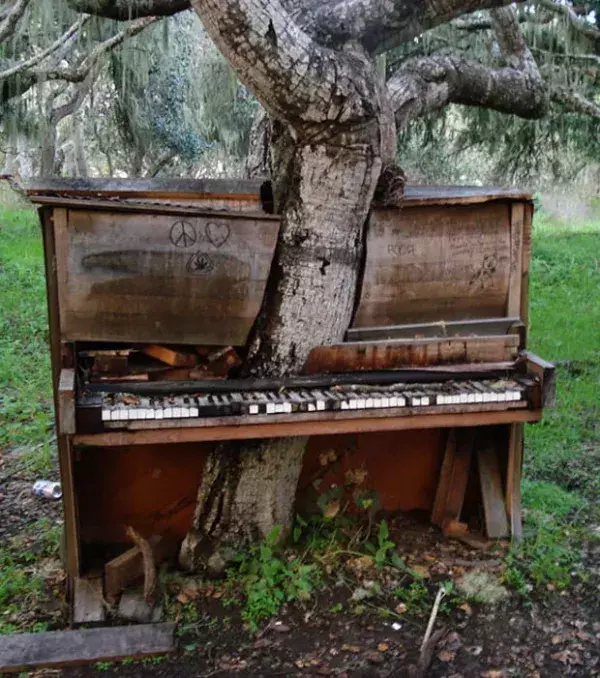 Ein Baum wuchs durch dieses alte Klavier, in Kalifornien