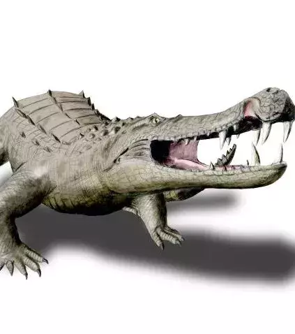 Kaprosuchus: Ein 8 Meter langes Krokodil mit Hauern wie ein Wildschwein. Fleischfressend.