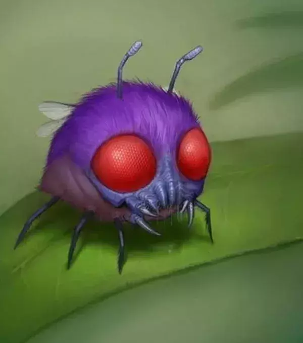 Bluzuk