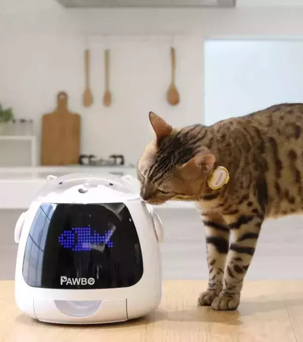 Die kuriosesten IFA-Produkte: Perfekt für Katzenhalter, die viel unterwegs sind - Ein Leckerchen-Spender