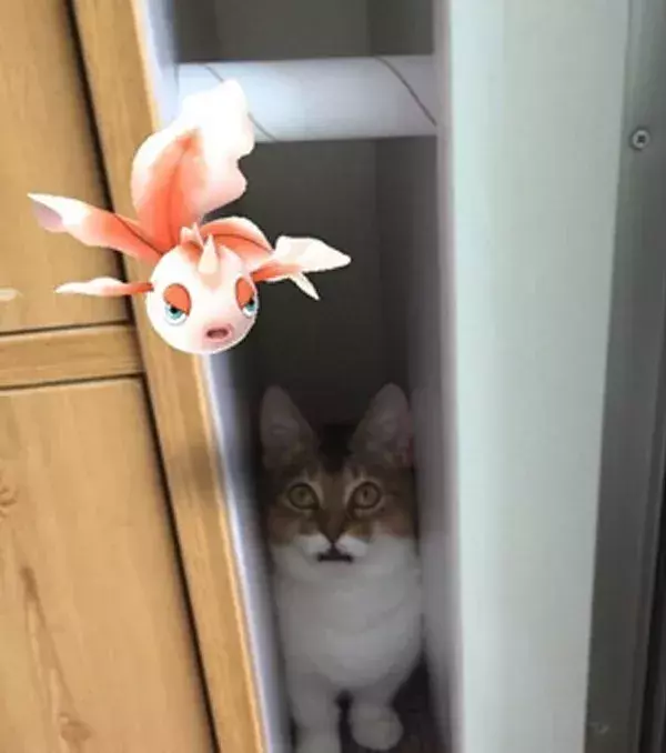 Diese Katze hätte gerne Goldini zum Frühstück