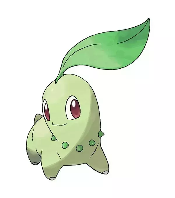 Endivie