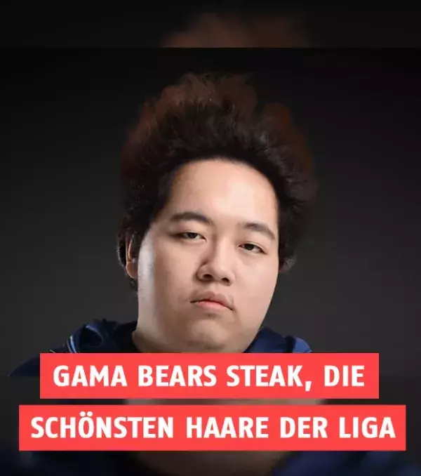 Gama Bears Steak, die schönsten Haare der Liga