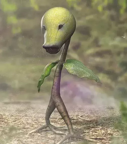 Knofensa