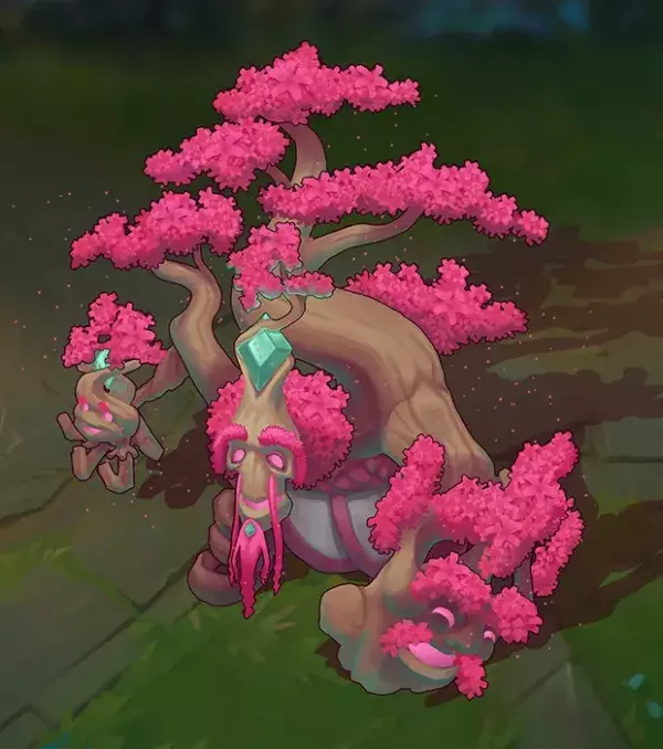 Maokai