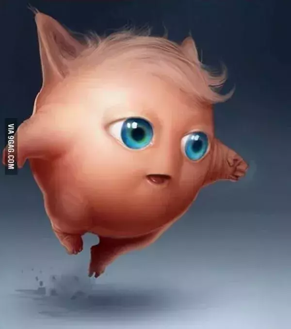 Pummeluff